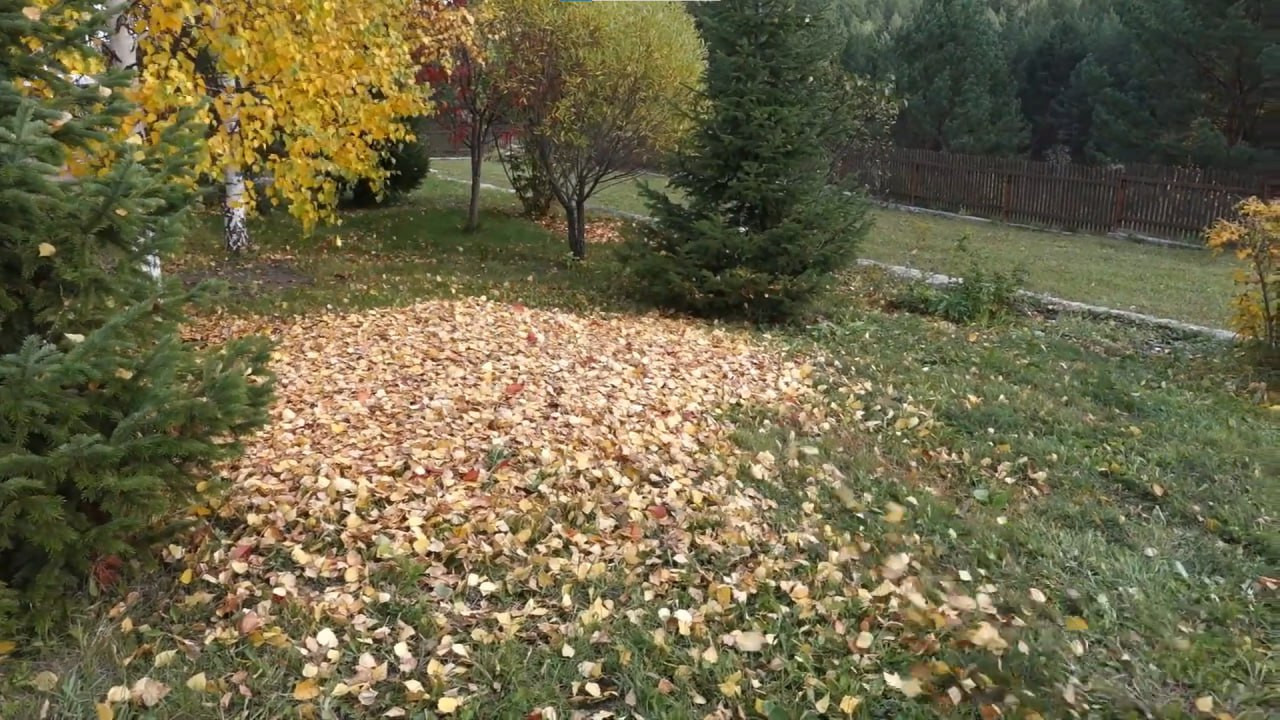 https://blagoveshchensk.mslandshaft.ru/storage/app/uploads/public/642/ac5/f22/642ac5f2293e2935715739.jpg